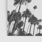 Palm Spring California, Palms Poster Gallery Image 3