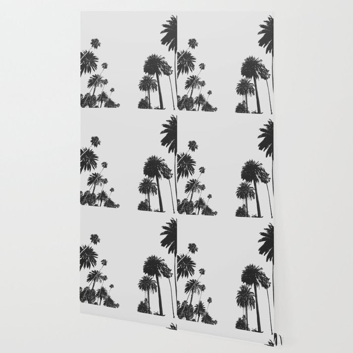 Palm Spring California, Palms Wallpaper Gallery Image 2