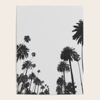 Palm Spring California, Palms Poster Gallery Image 4