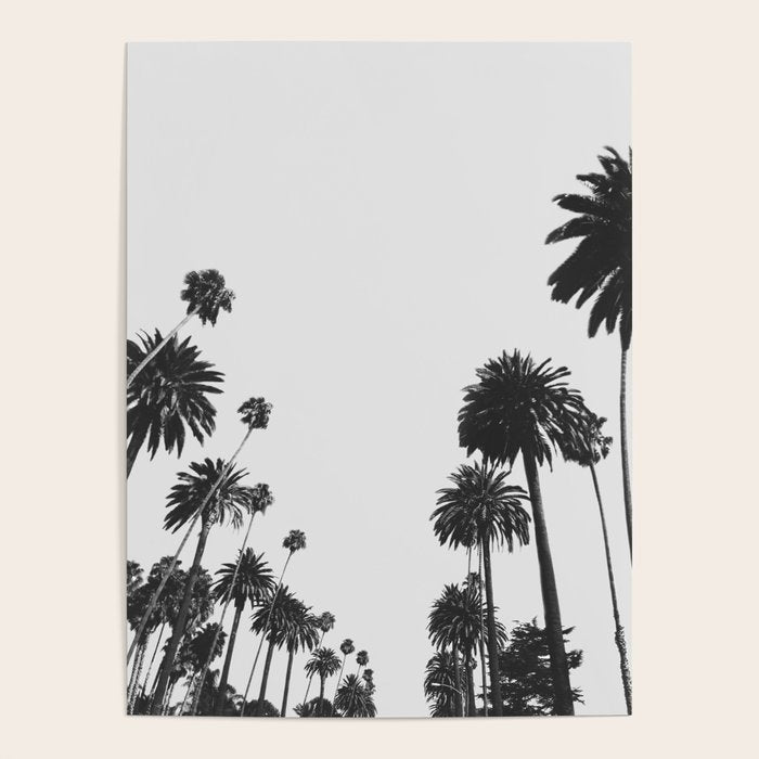 Palm Spring California, Palms Poster Gallery Image 4