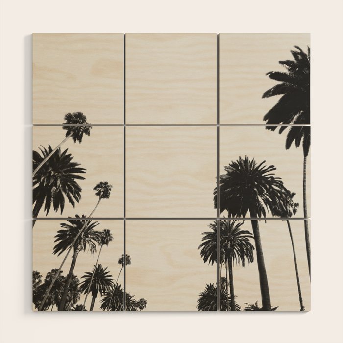 Palm Spring California, Palms Wood Wall Art Gallery Image 1