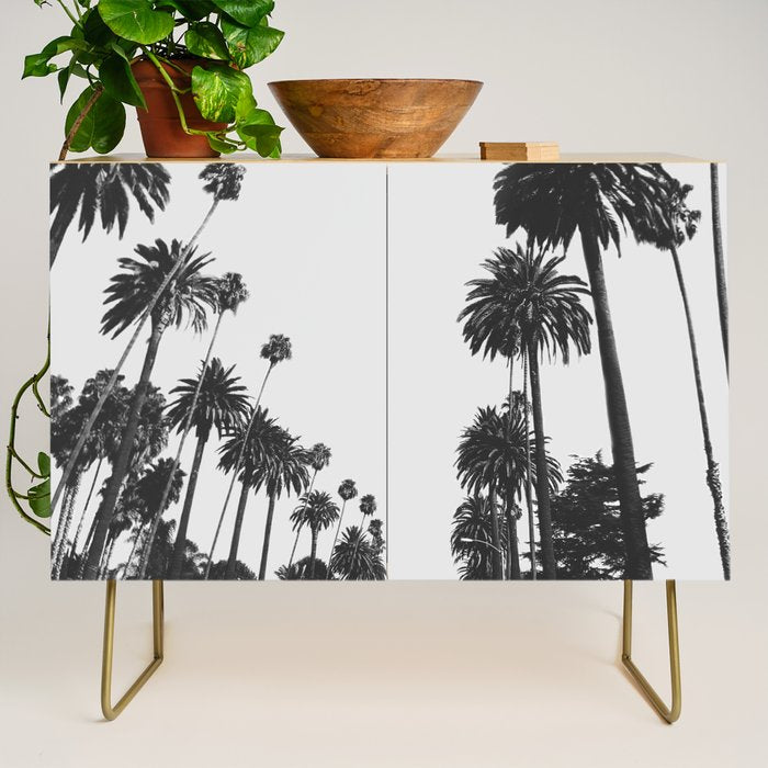 Palm Spring California, Palms Credenza Gallery Image 1