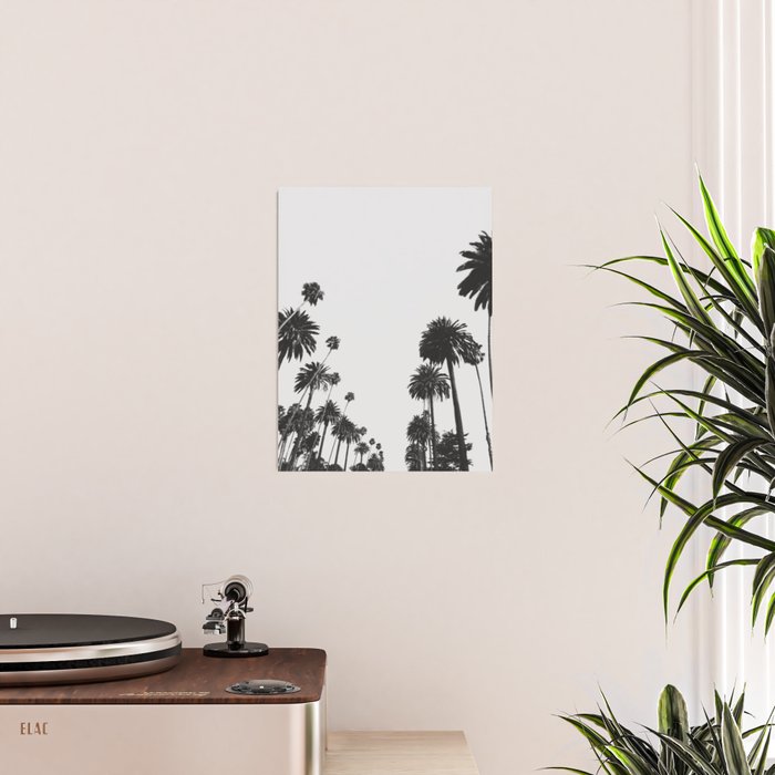 Palm Spring California, Palms Poster Gallery Image 2