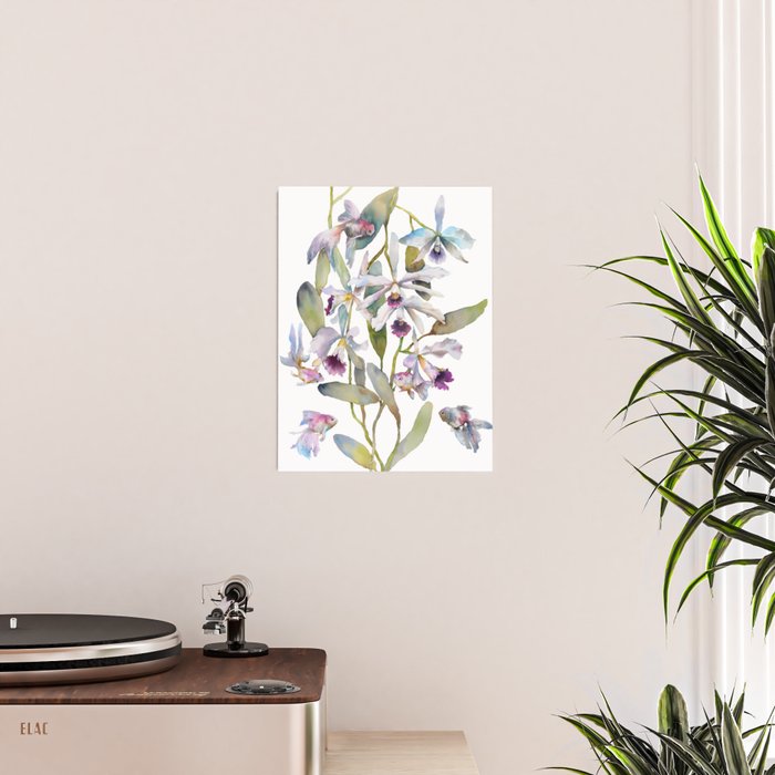 Cattleya Orchid White and Purple with Goldfish Muted Pallet Botanical Design Poster Gallery Image 2