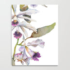 Cattleya Orchid White and Purple with Goldfish Muted Pallet Botanical Design Notebook Gallery Image 4