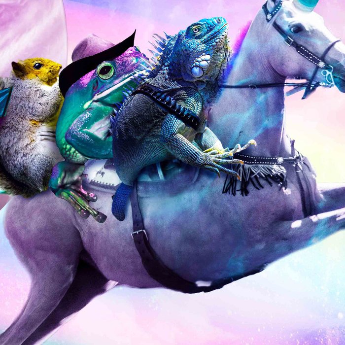 Bearded Dragon Frog Squirrel On Rainbow Unicorn Coffee Mug Gallery Image 2