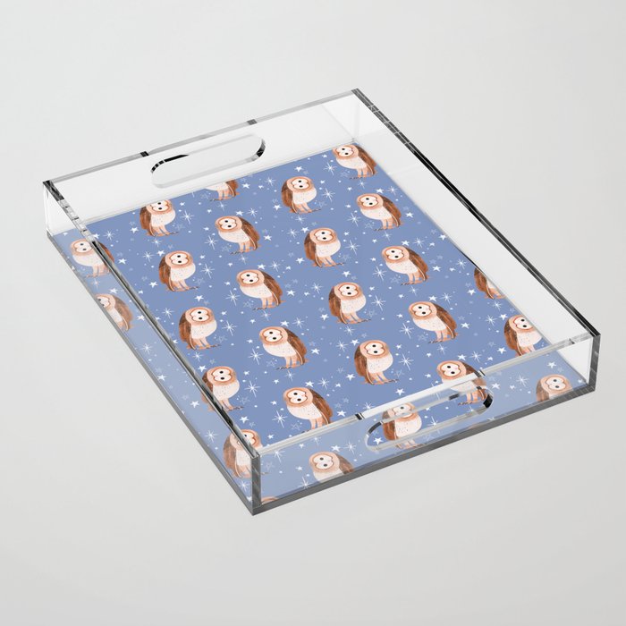 Barn Owl Acrylic Tray Gallery Image 1