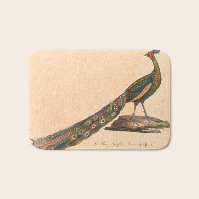 Peacock from "La Galerie de Oiseaux" ("Bird Gallery"), 1825 Bath Mat Gallery Image 1
