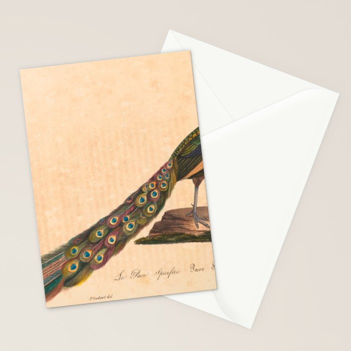 Peacock from "La Galerie de Oiseaux" ("Bird Gallery"), 1825 Stationery Card Gallery Image 2
