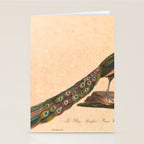 Peacock from "La Galerie de Oiseaux" ("Bird Gallery"), 1825 Stationery Card Gallery Image 2
