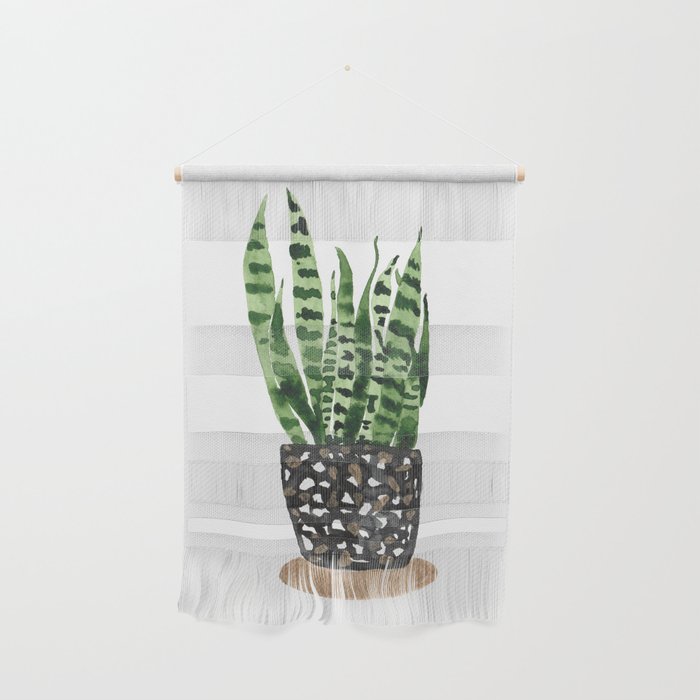 Snake Plant Wall Hanging Gallery Image 1