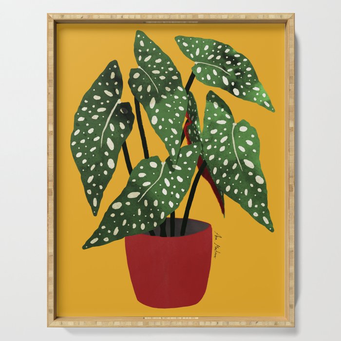 Begonia maculata pot watercolor Serving Tray Gallery Image 1