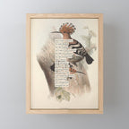 Bird Divinations: Hoopoe (about: almanacofbirds.org) Mini Art Print Gallery Image 1