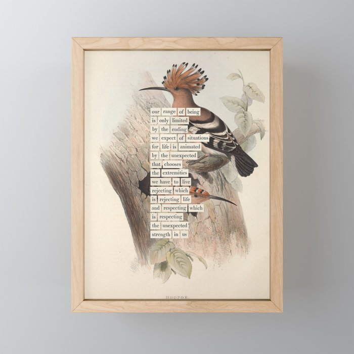 Bird Divinations: Hoopoe (about: almanacofbirds.org) Mini Art Print Gallery Image 1