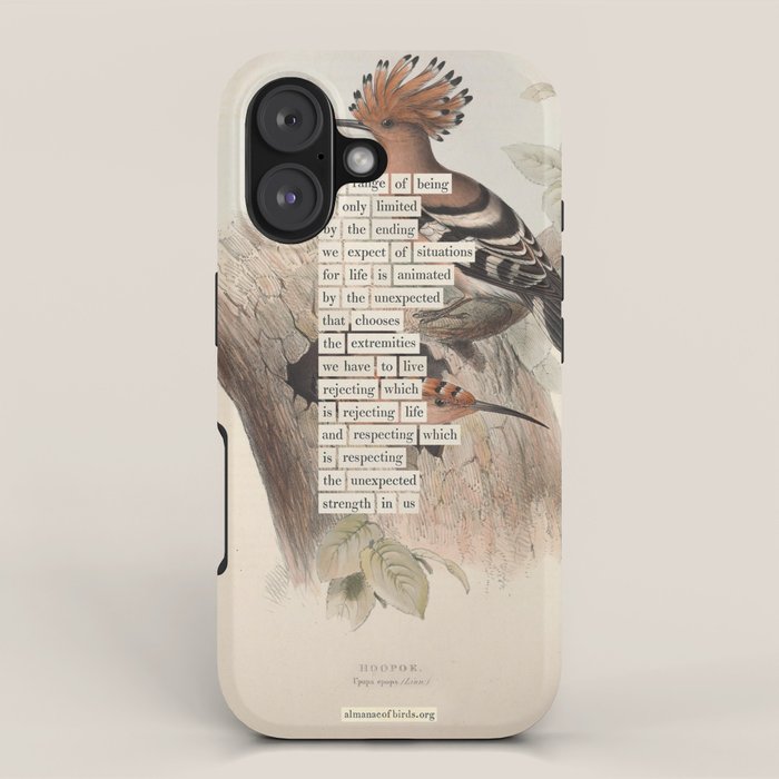 Bird Divinations: Hoopoe (about: almanacofbirds.org) iPhone Case Gallery Image 1