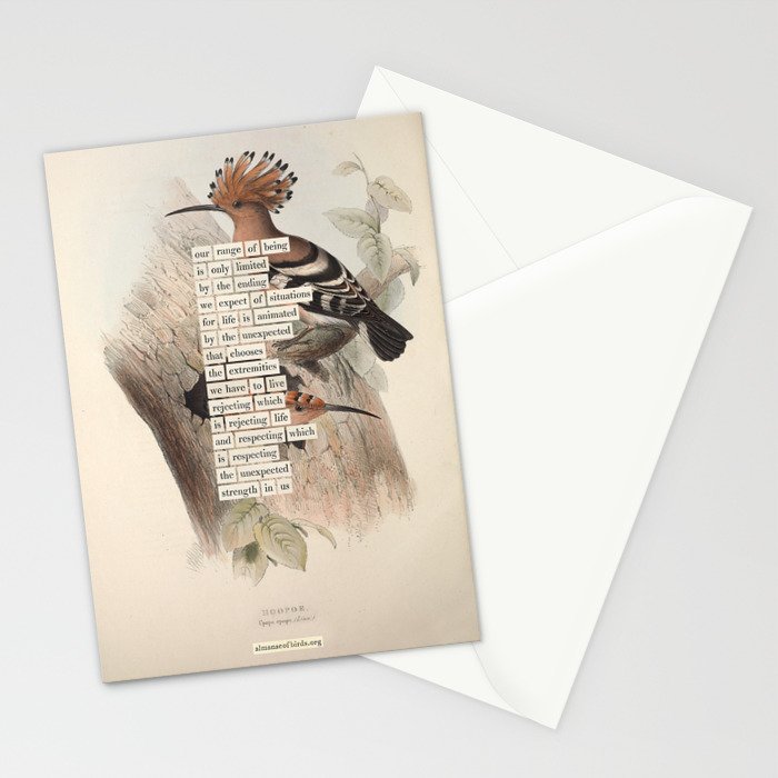 Bird Divinations: Hoopoe (about: almanacofbirds.org) Stationery Card Gallery Image 2