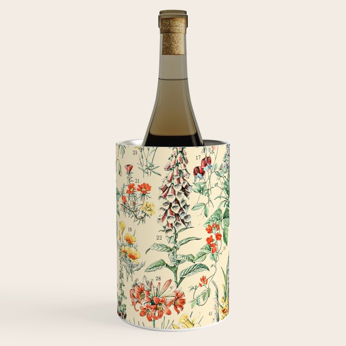 Wildflower Diagram // Fleurs II by Adolphe Millot XL 19th Century Science Textbook Artwork Wine Chiller Gallery Image 3