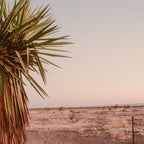 High Desert Sunset Coffee Mug Gallery Image 2