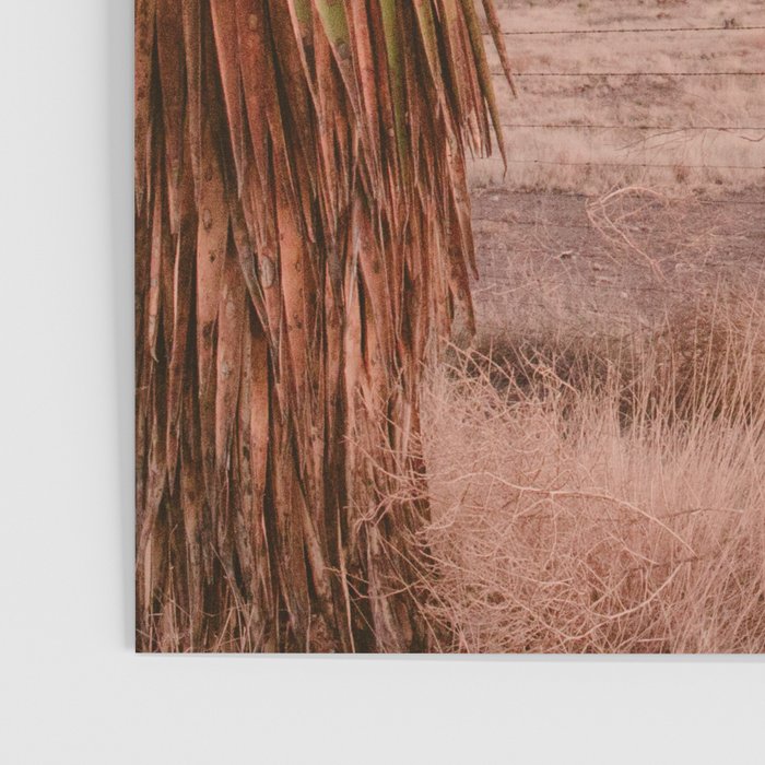 High Desert Sunset Poster Gallery Image 3