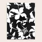 Clematis Contrast  Minimal Floral Silhouettes Notebook Gallery Image 4