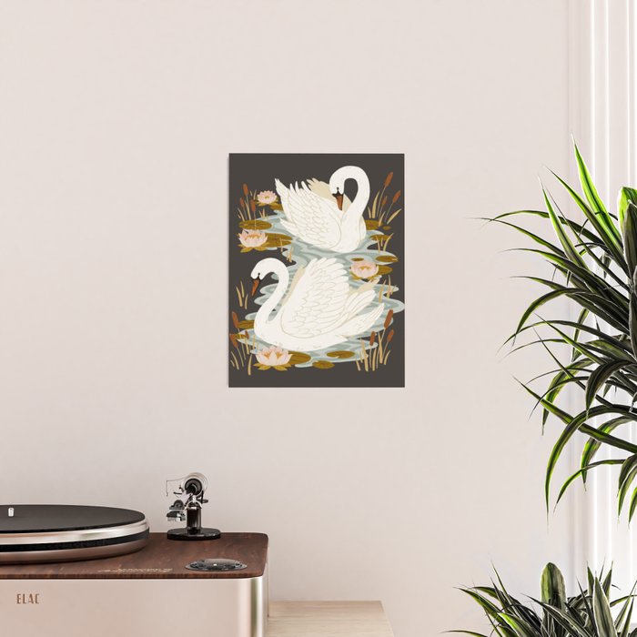 Swan Dance - Charcoal Black Background Poster Gallery Image 2