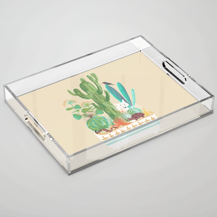 Desert planter Acrylic Tray Gallery Image 1