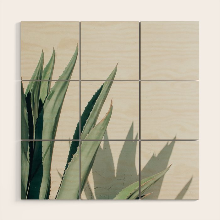 Agave, Marfa, West Texas Wood Wall Art Gallery Image 1
