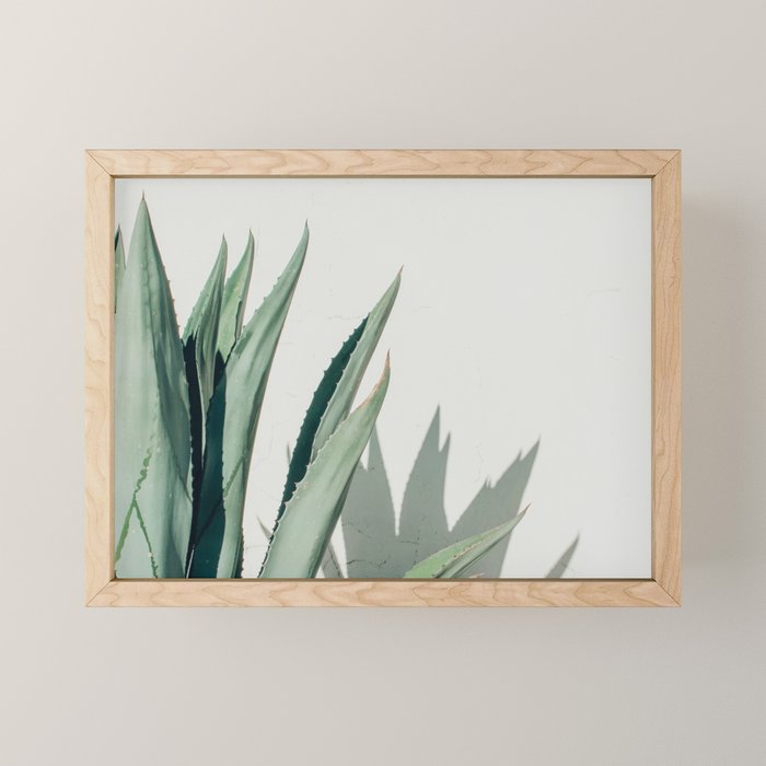 Agave, Marfa, West Texas Mini Art Print Gallery Image 1