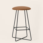 Burnt Orange Clay Solid Color Stool Gallery Image 1