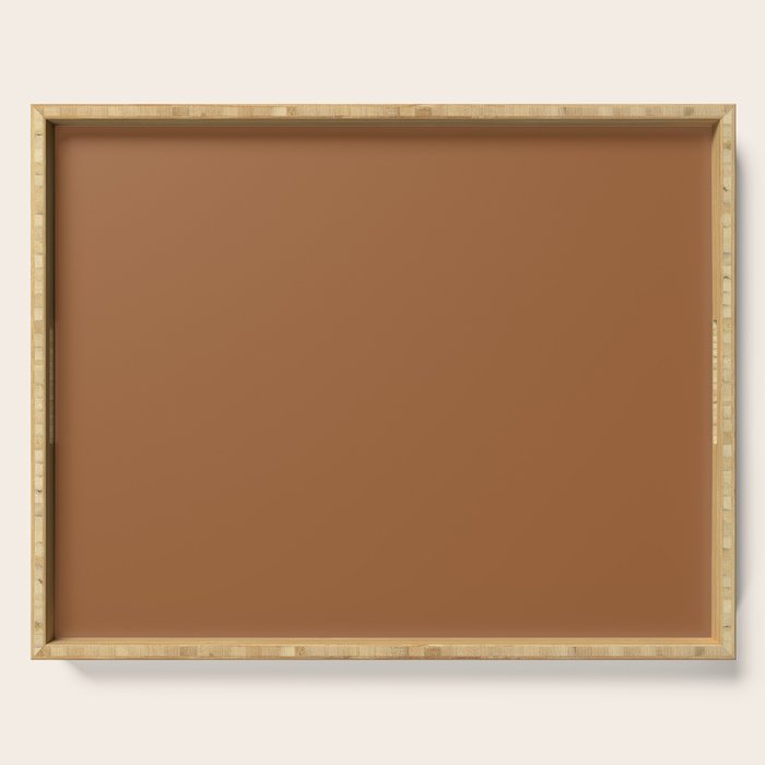 Burnt Orange Clay Solid Color Serving Tray Gallery Image 1