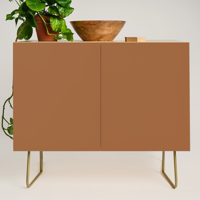 Burnt Orange Clay Solid Color Credenza Gallery Image 1