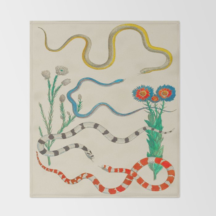 Locupletissimi rerum naturalium - vol. 2 - Albertus Seba Colorful Snake Floral Arrangement Throw Blanket Gallery Image 2