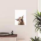 Highland Cow Poster Gallery Image 2