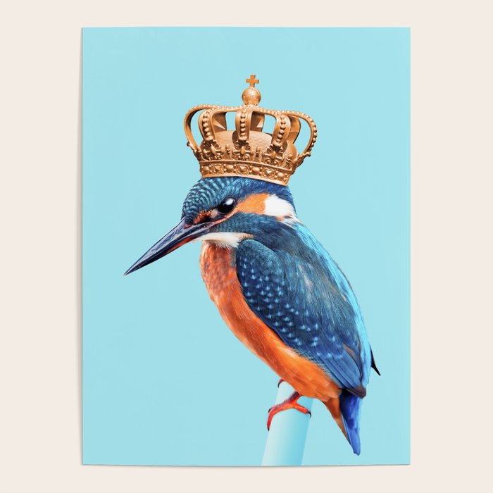 KINGFISHER Poster Gallery Image 4