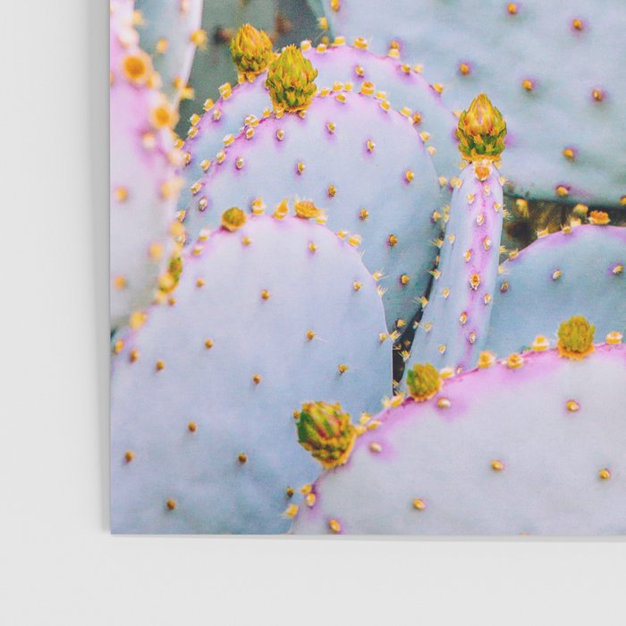 Prickly Pear Photography Pastel Cactus Poster Gallery Image 3