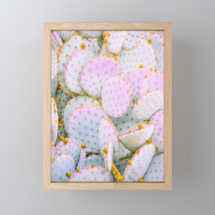 Prickly Pear Photography Pastel Cactus Mini Art Print Gallery Image 1