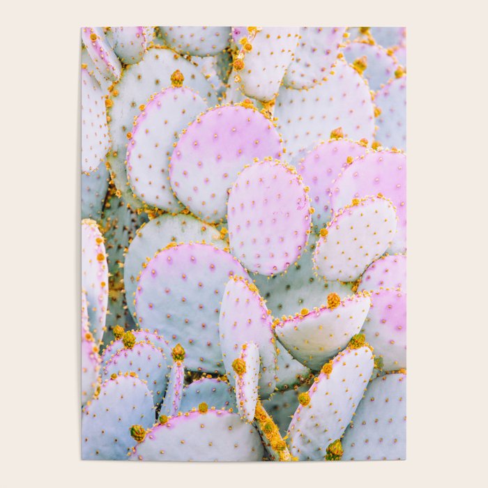 Prickly Pear Photography Pastel Cactus Poster Gallery Image 1