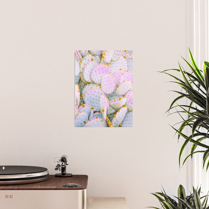Prickly Pear Photography Pastel Cactus Poster Gallery Image 2