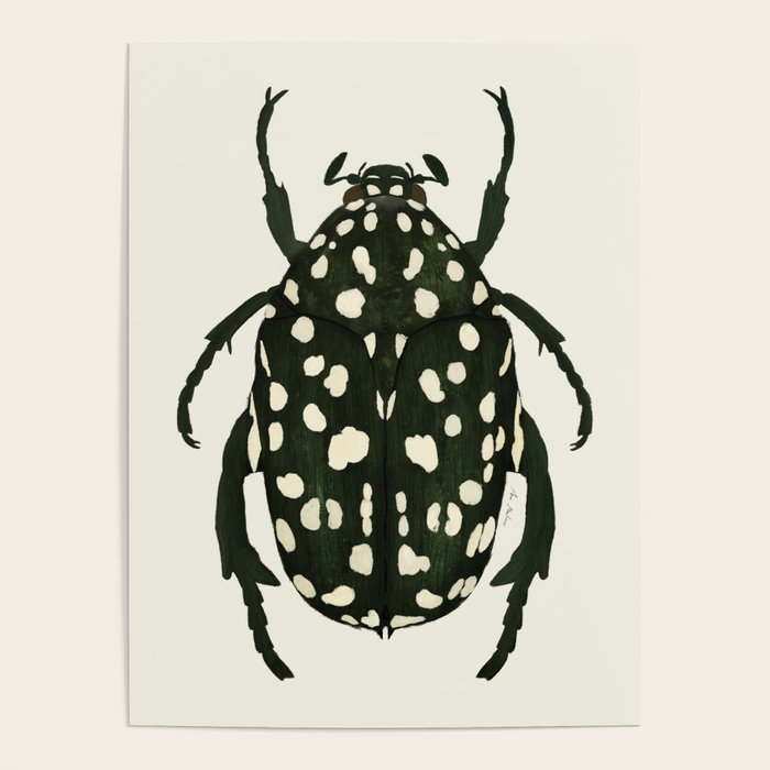 green beetle insect Poster Gallery Image 1