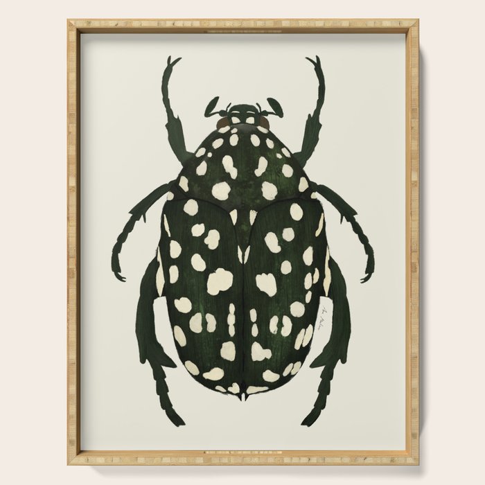 green beetle insect Serving Tray Gallery Image 1