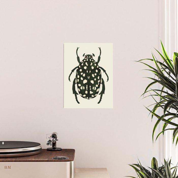 green beetle insect Poster Gallery Image 2