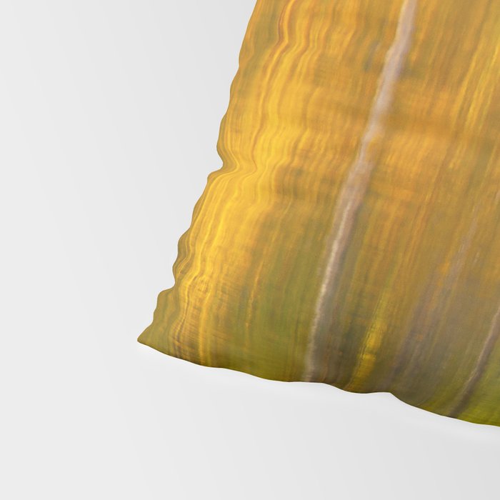 Reflection autumn  colors Pillow Sham Gallery Image 4