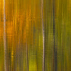 Reflection autumn  colors Coffee Mug Gallery Image 2