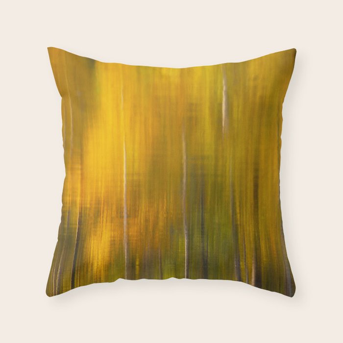 Reflection autumn  colors Throw Pillow Gallery Image 1