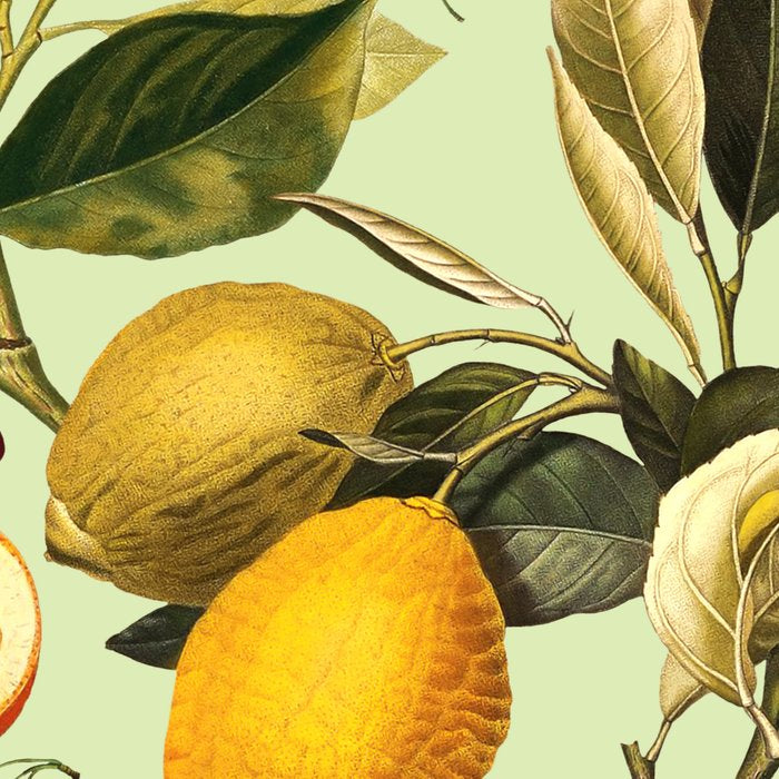 Vintage Fruit Pattern XIII Coffee Mug Gallery Image 2