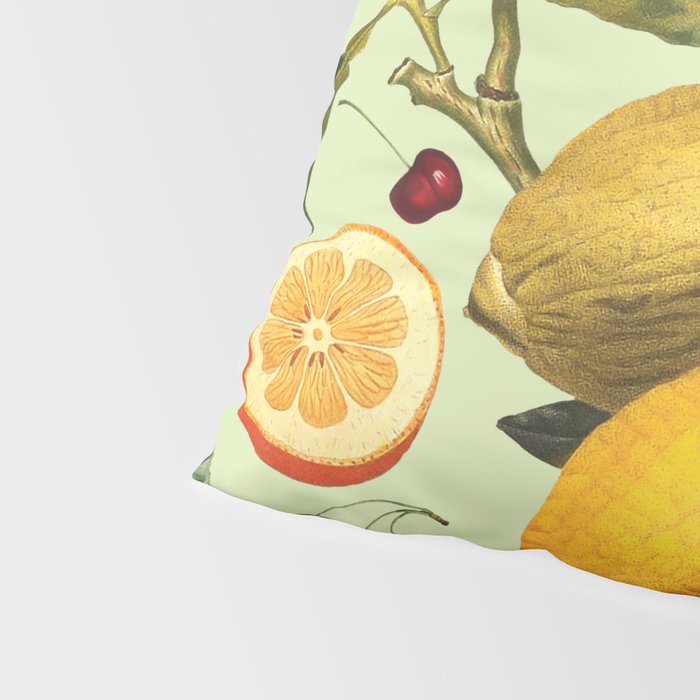 Vintage Fruit Pattern XIII Pillow Sham Gallery Image 4