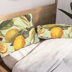 Vintage Fruit Pattern XIII Pillow Sham Gallery Image 2