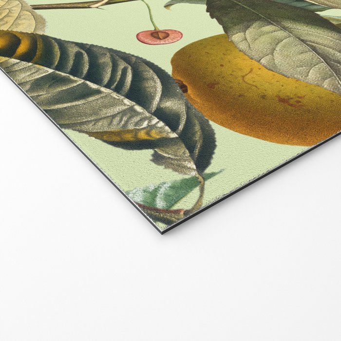 Vintage Fruit Pattern XIII Welcome Mat Gallery Image 2