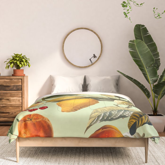 Vintage Fruit Pattern XIII Comforter Gallery Image 3