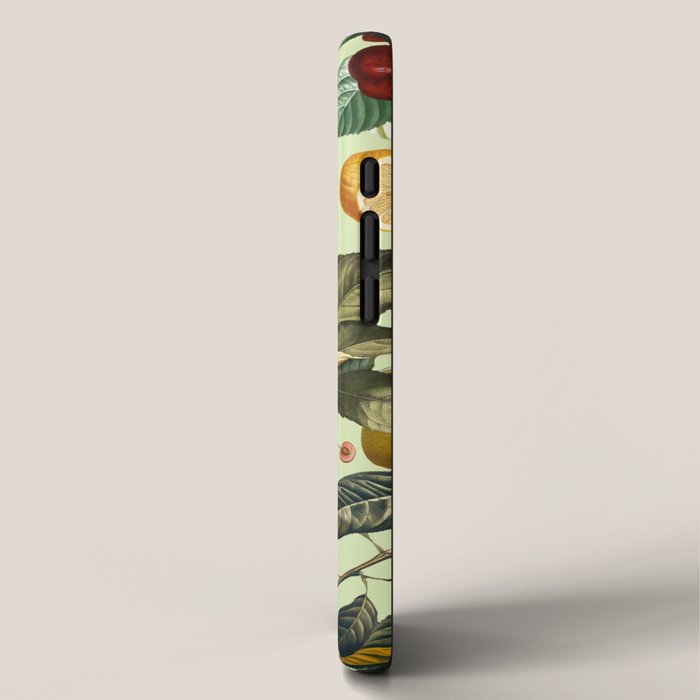 Vintage Fruit Pattern XIII iPhone Case Gallery Image 2